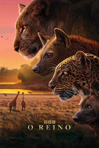 O Reino