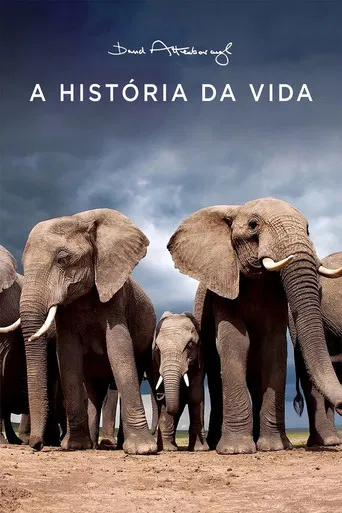 A História da Vida