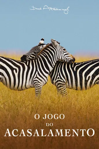 O Jogo do Acasalamento