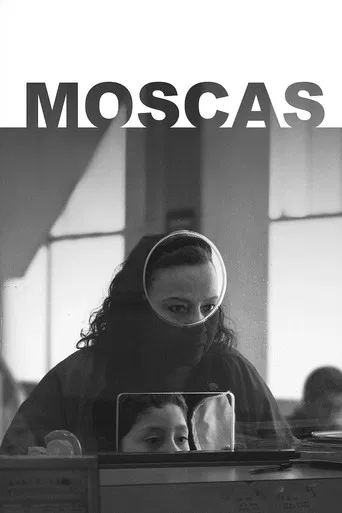 Moscas