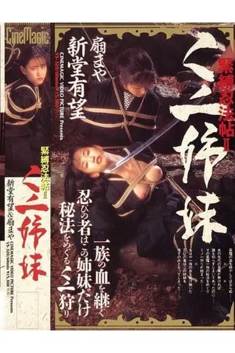 Ninja Bondage Chronicle 2: Ninja Sisters