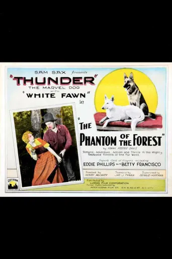The Phantom of the Forest