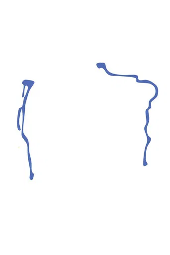 social justice whatever