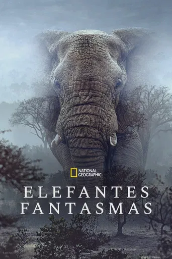 Elefantes Fantasmas