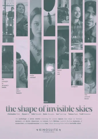 The Shape of Invisible Skies
