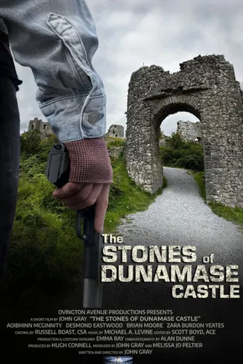 The Stones of Dunamase Castle