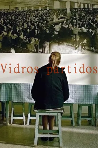 Vidros partidos