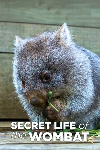 Secret Life of the Wombat