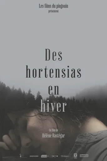 Des Hortensias en Hiver