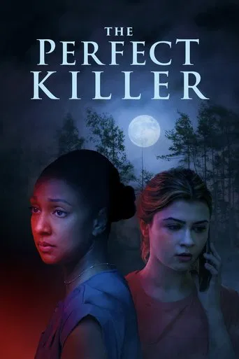 Watch The Perfect Killer