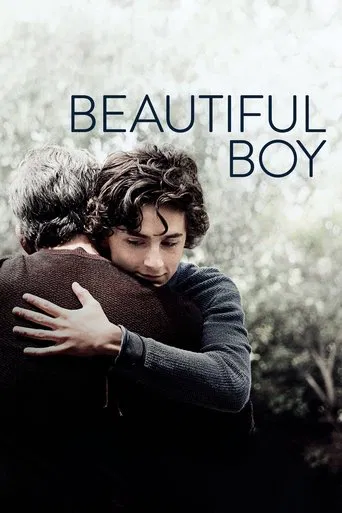 Watch Beautiful Boy
