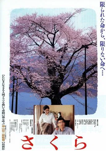 Watch Sakura