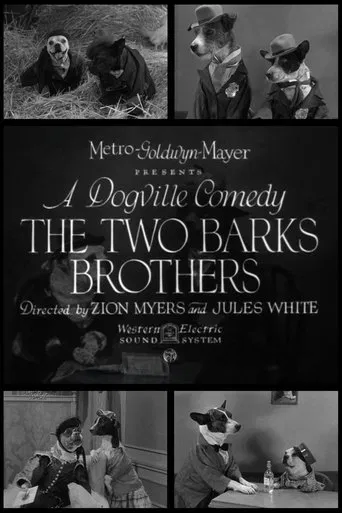 Watch The Two Barks Brothers