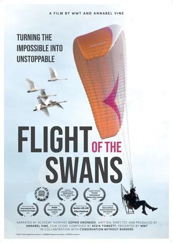 Watch Flight of the Swans