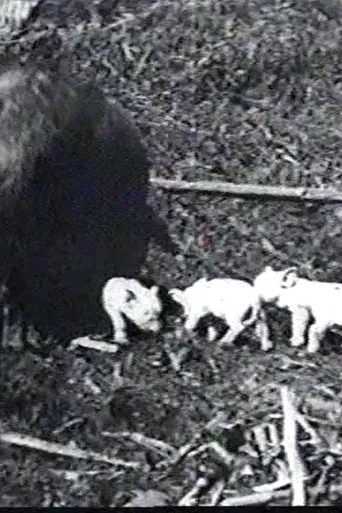 Mamma's Pets