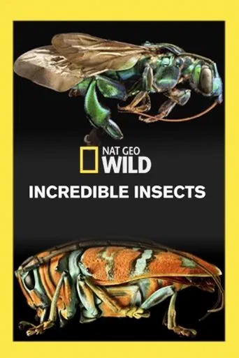 Watch Incredible Insects