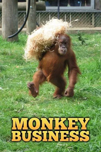 Watch Monkey Business