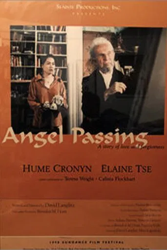Watch Angel Passing