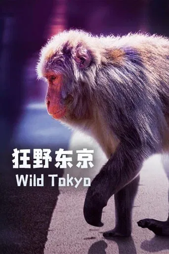 Watch Wild Tokyo