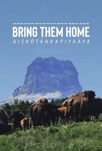 Watch Bring Them Home