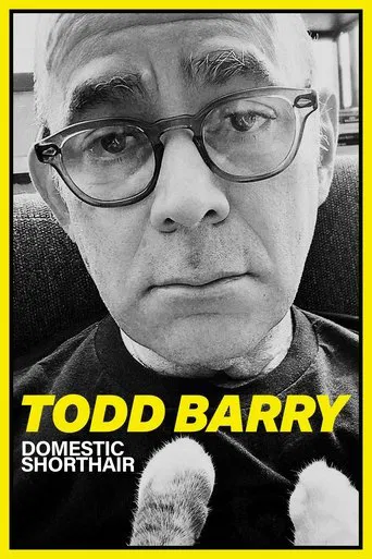 Watch Todd Barry: Domestic Shorthair