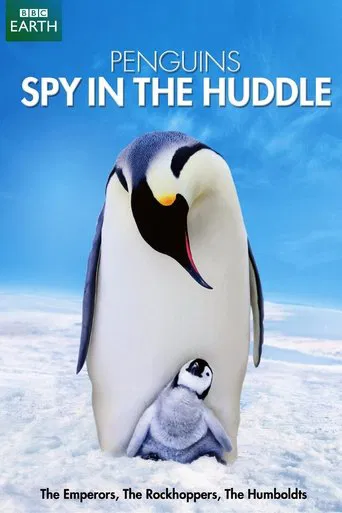 Watch Penguins: Spy in the Huddle