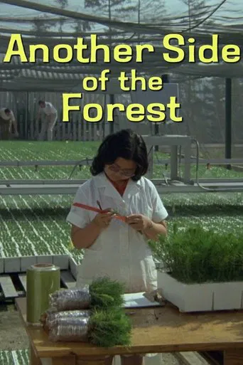 Watch Another Side of the Forest