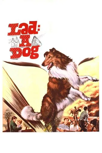 Watch Lad: A Dog