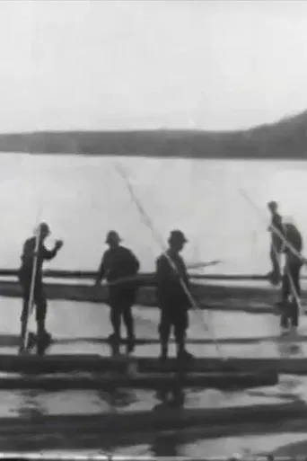 Watch Logging in Maine