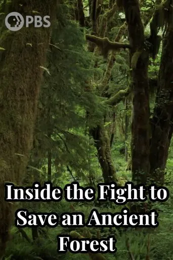 Watch Inside the Fight to Save an Ancient Forest (and the Secrets it Holds)