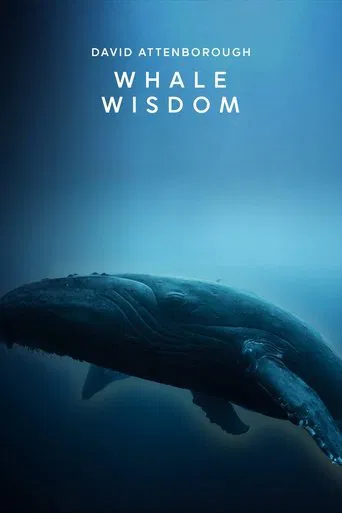 Watch Whale Wisdom