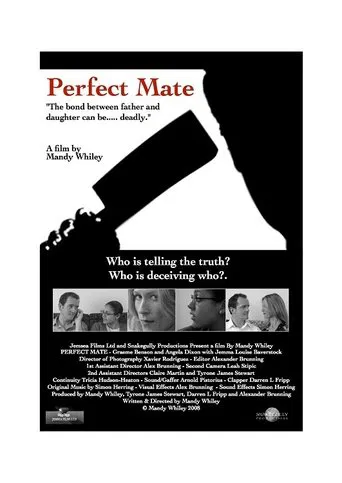 Watch Perfect Mate