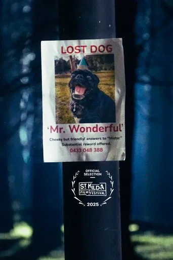 Mr. Wonderful