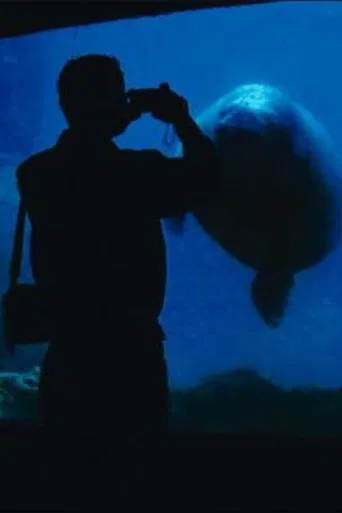 Watch The Aquarium