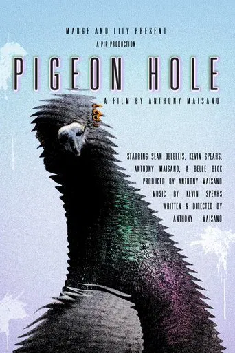 Pigeon Hole