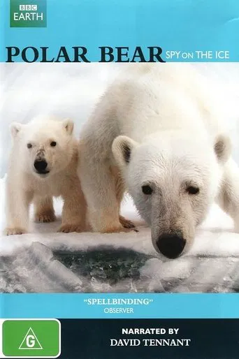 Watch Polar Bear - Spy on the Ice