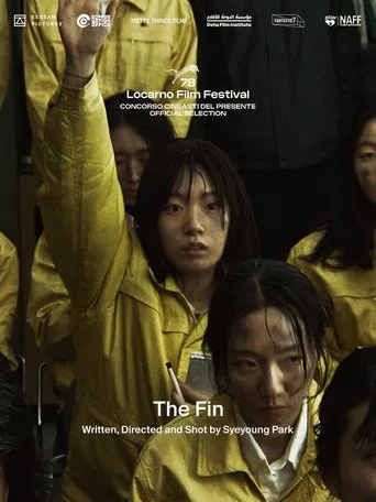 The Fin