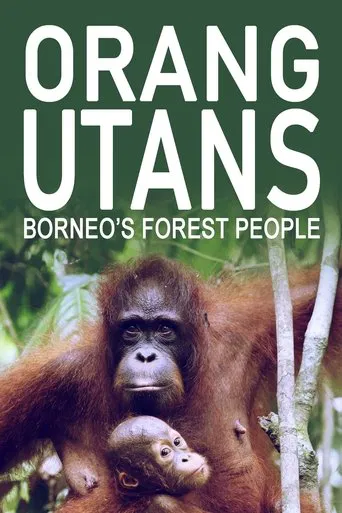 Orang Utans - Keepers of the Jungle