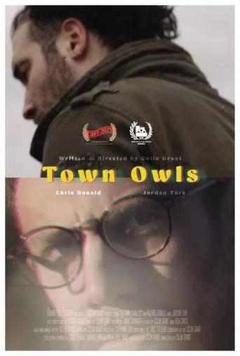 Watch Town Owls