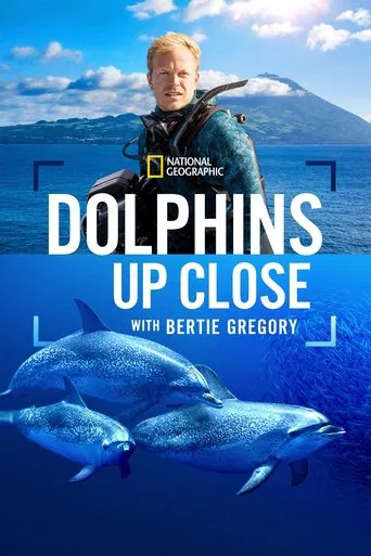 Watch Dolphins Up Close with Bertie Gregory