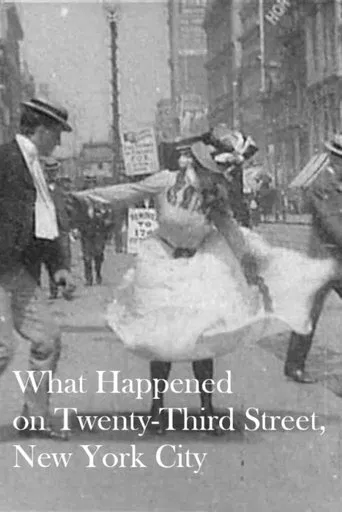 Watch What Happened on Twenty-Third Street, New York City