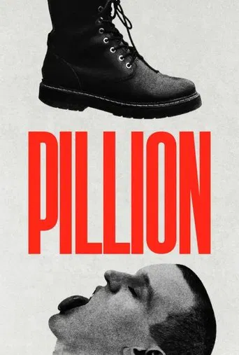 Watch Pillion