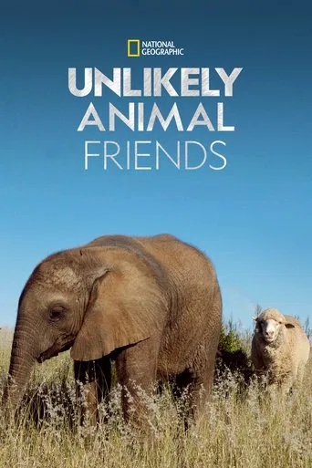 Watch Unlikely Animal Friends