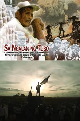 Watch In the Name of the Sugarcane