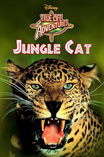 Watch Jungle Cat