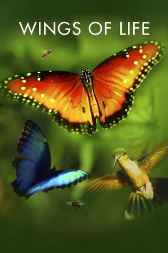 Watch Wings of Life