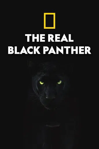 Watch The Real Black Panther