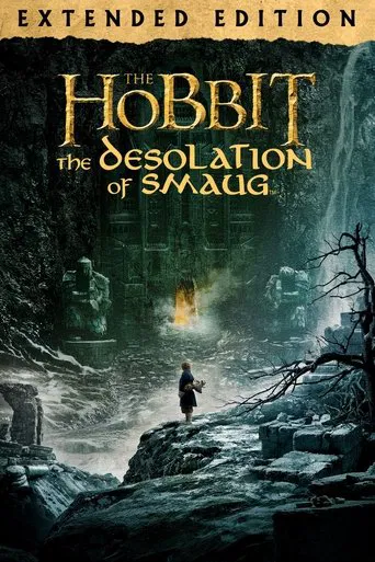The Hobbit: The Desolation of Smaug - Extended Edition