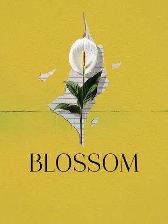 Watch Blossom