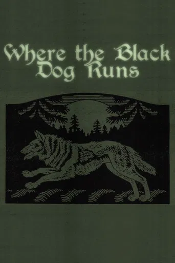 Where the Black Dog Runs